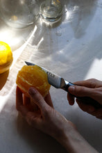 Încarcă imaginea în vizualizatorul Galerie, Set cuțite cu husă de protecție KUTT Yuko