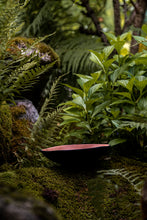 Încarcă imaginea în vizualizatorul Galerie, Bol de lut Paz