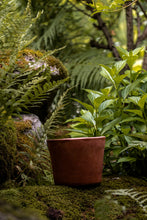 Încarcă imaginea în vizualizatorul Galerie, Ghiveci de lut Lago S