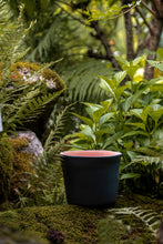 Încarcă imaginea în vizualizatorul Galerie, Ghiveci de lut Lago S