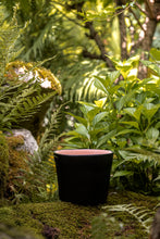 Încarcă imaginea în vizualizatorul Galerie, Ghiveci de lut Lago S