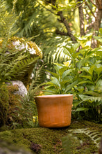 Încarcă imaginea în vizualizatorul Galerie, Ghiveci de lut Lago S