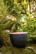 Încarcă imaginea în vizualizatorul Galerie, Ghiveci de lut Lago M