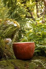 Încarcă imaginea în vizualizatorul Galerie, Ghiveci de lut Lago M