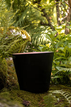 Încarcă imaginea în vizualizatorul Galerie, Ghiveci de lut Milo M