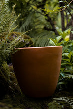 Încarcă imaginea în vizualizatorul Galerie, Ghiveci de lut Milo L