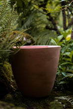 Încarcă imaginea în vizualizatorul Galerie, Ghiveci de lut Milo L