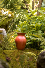 Încarcă imaginea în vizualizatorul Galerie, Vază din lut Milagro