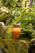 Încarcă imaginea în vizualizatorul Galerie, Vază din lut Milagro