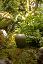 Încarcă imaginea în vizualizatorul Galerie, Vază din lut Espe