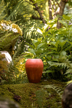 Încarcă imaginea în vizualizatorul Galerie, Vază din lut Espe