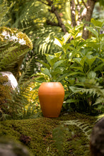 Încarcă imaginea în vizualizatorul Galerie, Vază din lut Espe