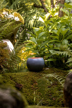 Încarcă imaginea în vizualizatorul Galerie, Ghiveci de lut Joya