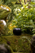 Încarcă imaginea în vizualizatorul Galerie, Ghiveci de lut Joya