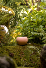 Încarcă imaginea în vizualizatorul Galerie, Ghiveci de lut Joya