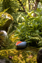 Încarcă imaginea în vizualizatorul Galerie, Bol de lut Semilla