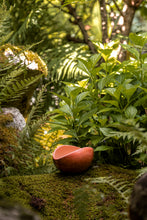 Încarcă imaginea în vizualizatorul Galerie, Bol de lut Semilla