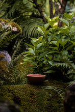 Încarcă imaginea în vizualizatorul Galerie, Bol de lut Pilar